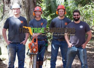 Team Tree Surgeons