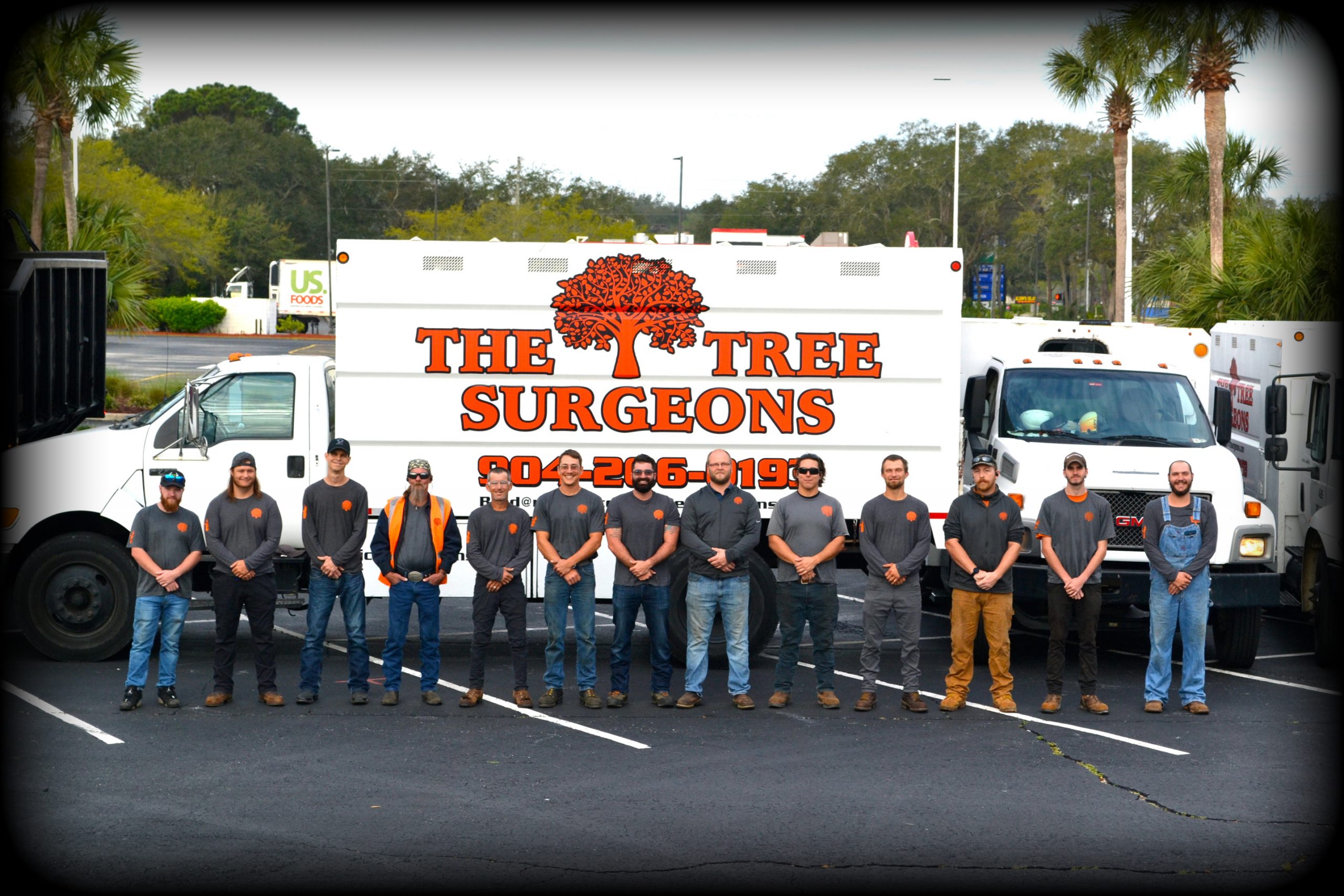 The Tree Surgeons